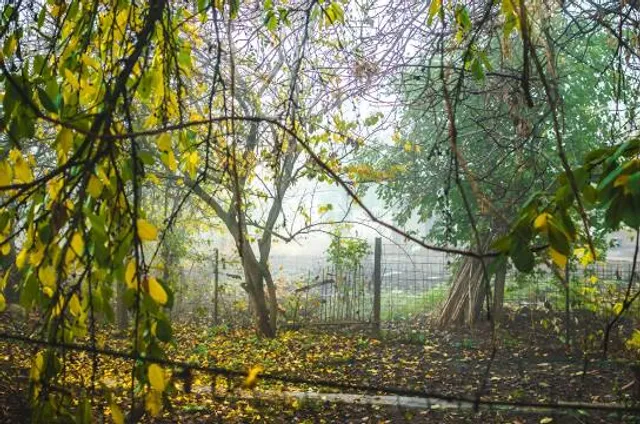 Eco Parque El Sabinal