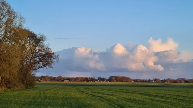 Hippo Bungalow / Landlord Bemiddeling