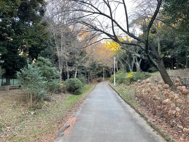 Yumenoshima Green Road Park