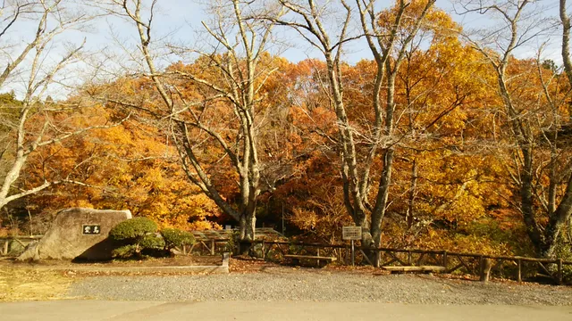 Ibaraki Prefectural Forest