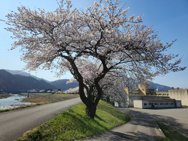 Benzaiten Sports Park
