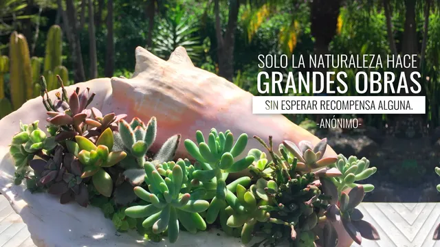 Itarär Ecological Park