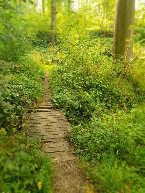 photo-2