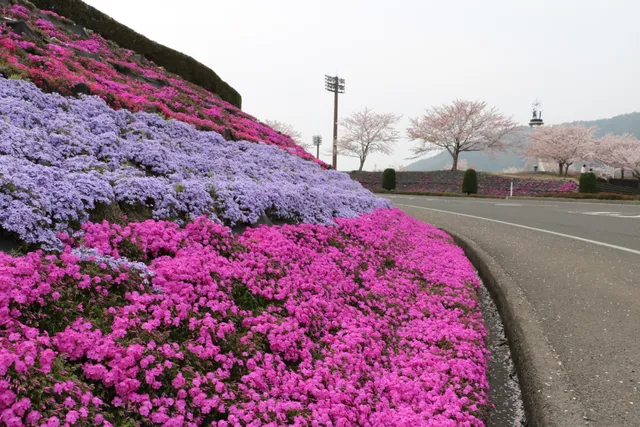 Ohi Town Sports Park PLAYPARK OHI