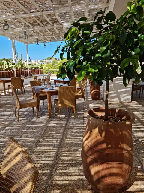 Approdo da Rossi 1964