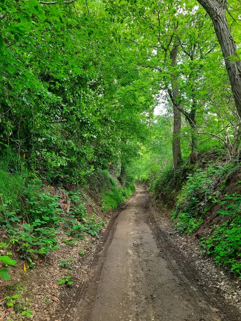 Start Wandelingen Meldert