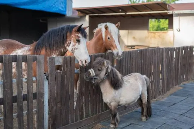 Pony Express Barn & Museum