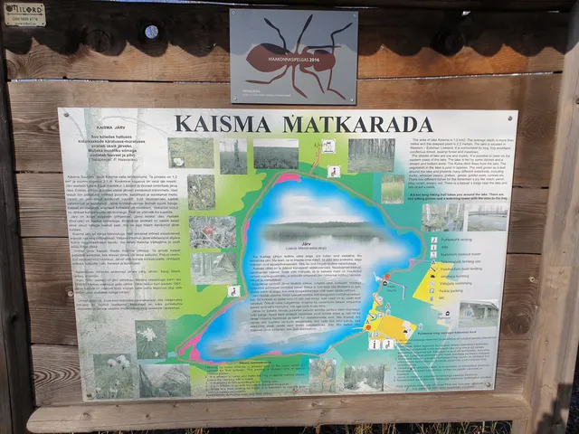 Kaisma Suurjärve matkarada