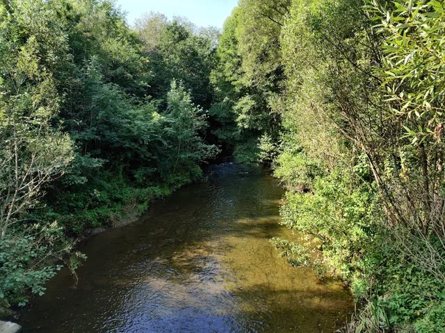 Haute Sûre Forêt D'Anlier Natural Park