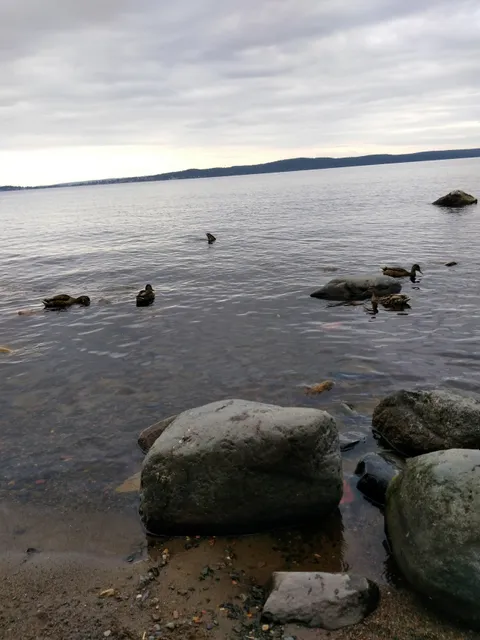 Bereg Onezhskogo Ozera