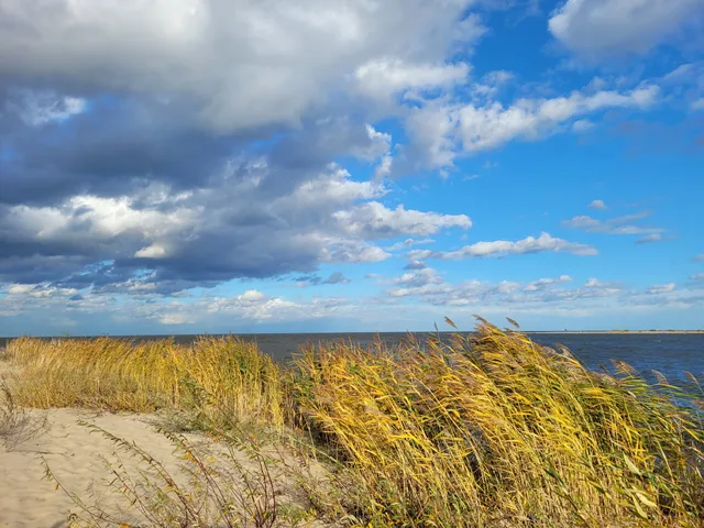 Obszar Natura2000: Ostoja w Ujściu Wisły