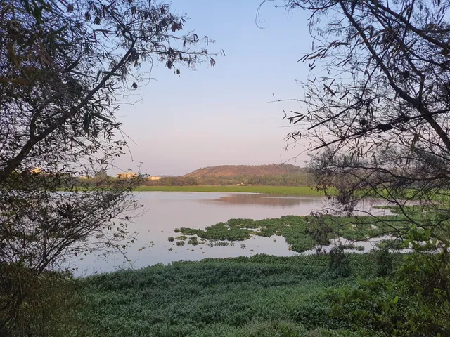 Pashan Lake view point