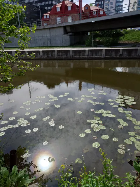 Igelbäckens Naturreservat