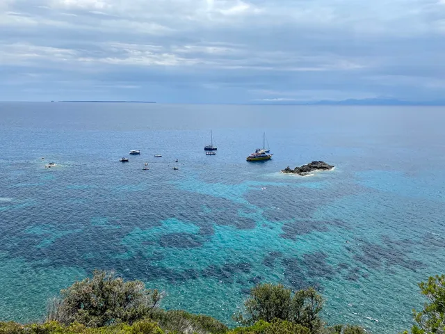 Relitto dell'Elviscot di Pomonte