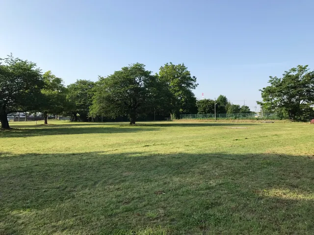 セキヤドアオゾラヒロバ