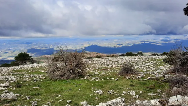 Riserva naturale orientata Monte Genuardo e Santa Maria del Bosco