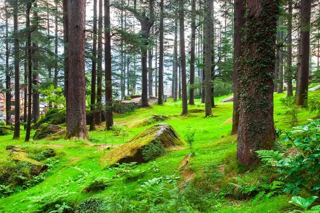 Manali Nature Park