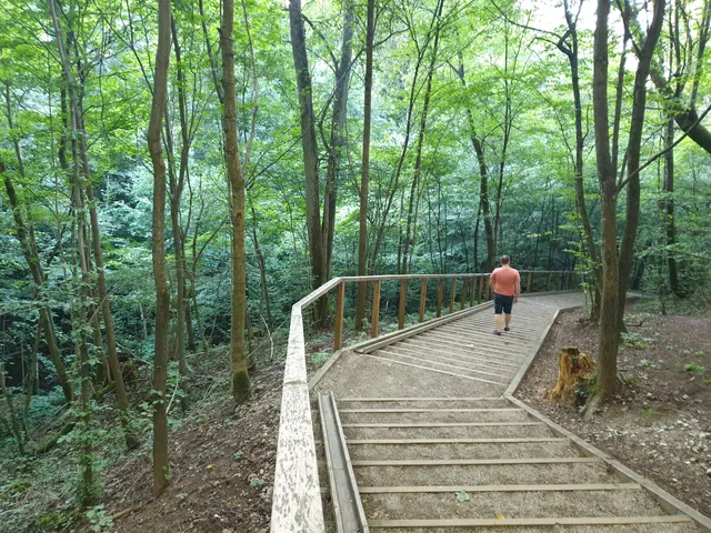 Kamšos pažintinis takas