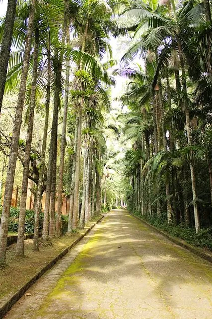 Ecological Park Alfredo Klinkert Junior - Guapituba
