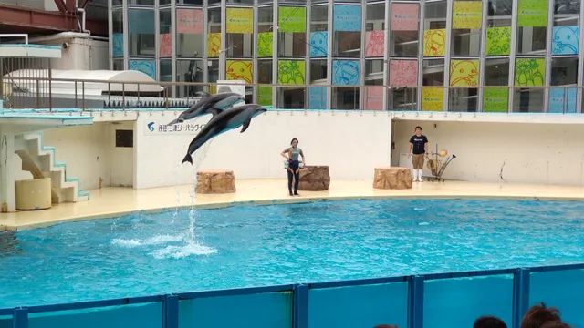 Izu Mito Sea Paradise