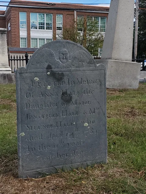 photo-1