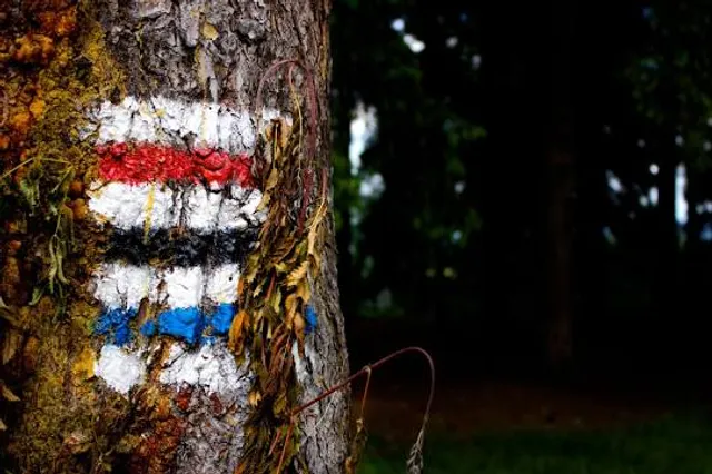 Tropfsteinhöhle Alland