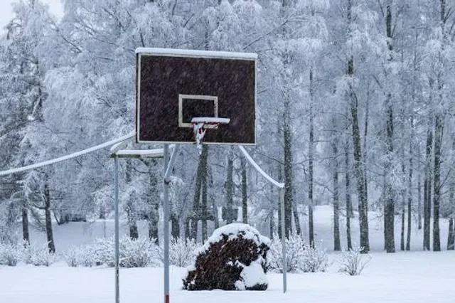 Озорные белки / Контактный зоопарк / Проживание / Парк приключений