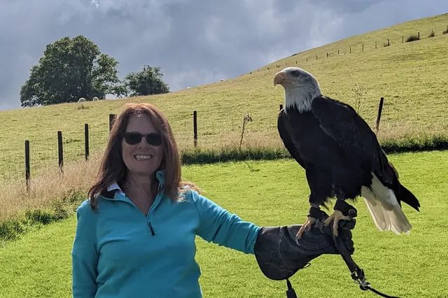 Falconry Experience Wales (Strictly by Appointment only)