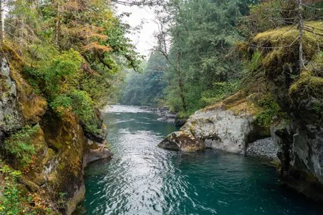 Dosewallips State Park