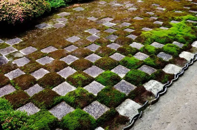 Chion-in Hojo Teien (Garden of Abbot's Quarters)