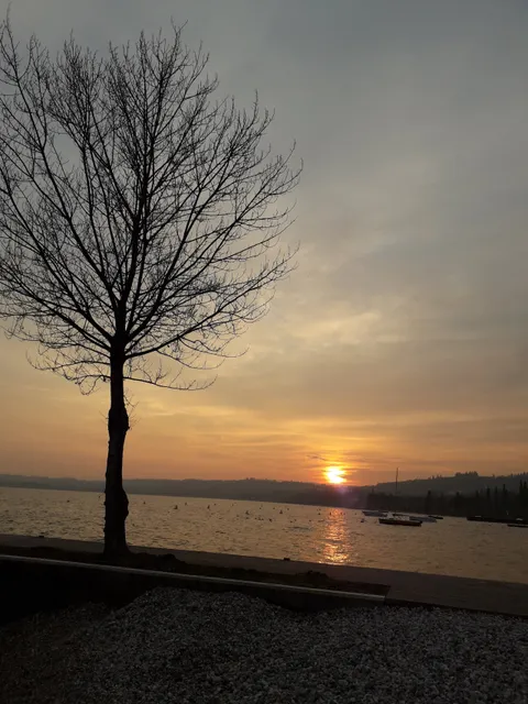 photo-2