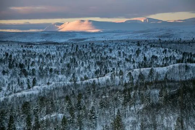 Stabbursdalen National Park
