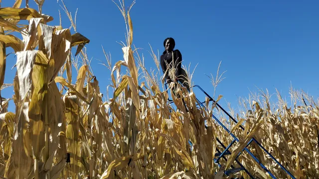 Little Bear Bottoms Farm