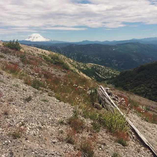 WA Parks Mt Saint Helens Interpretive Center