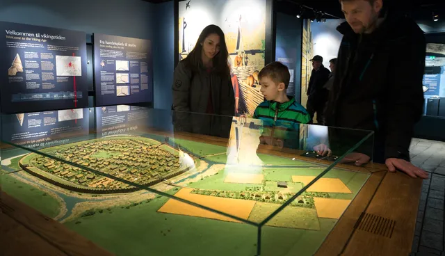 Viking Museum