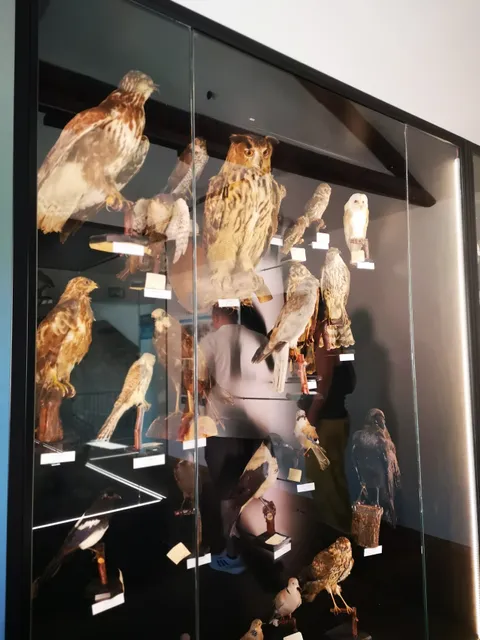 Galerija Ulika & Dinosaur Museum