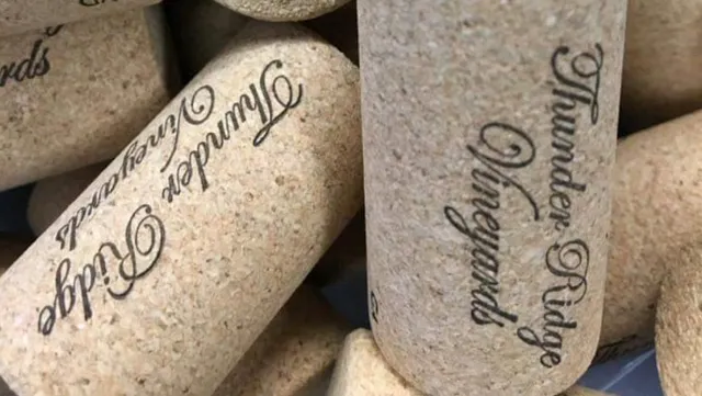 Thunder Ridge Vineyards