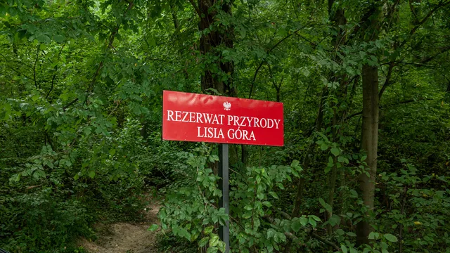 Nature Reserve: Lisia Góra