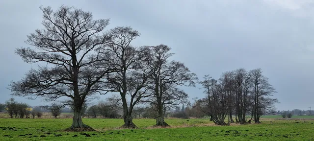 Oldenburg in Holstein