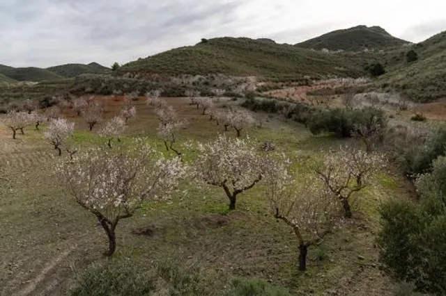 Tetinske vyhlídky II