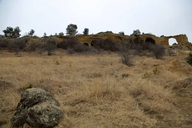 Ring Mountain Preserve