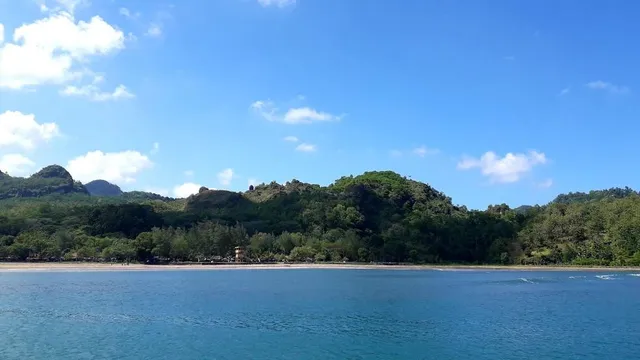Hutan Mangrove Kebumen