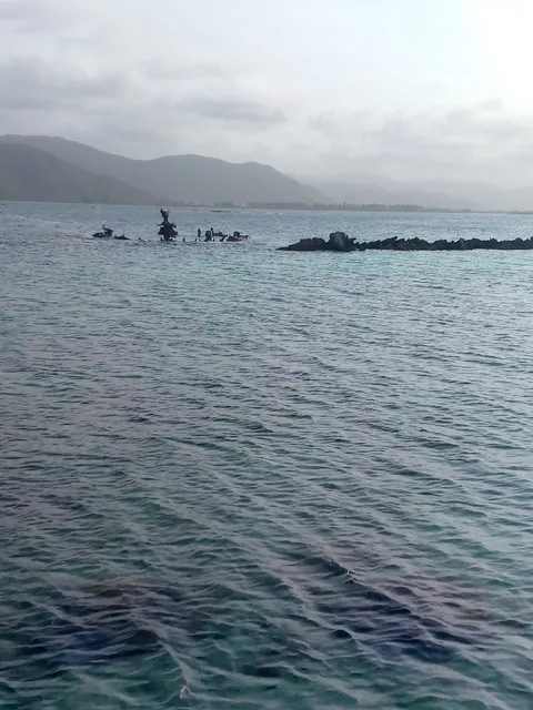 Buques Sesostris y Wacko