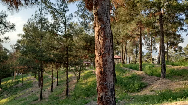 Sorkheh Hesar National Park