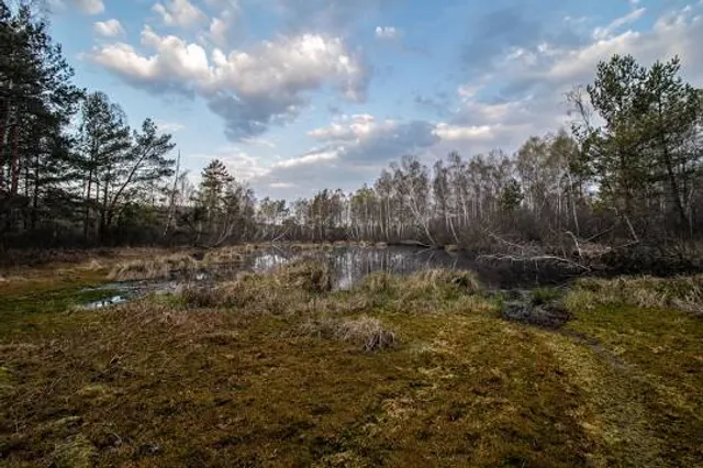 Rezerwat przyrody Broduszurki