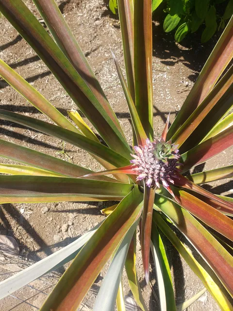 H.N. Greenwell Store Museum