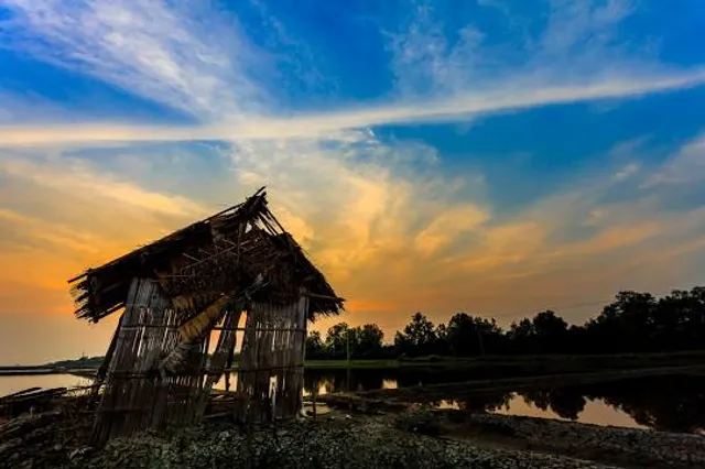 Tam Giác Mạch Farm