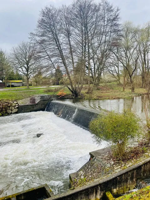 photo-1