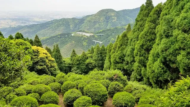 乙護法堂(背振山中宮霊仙寺跡)