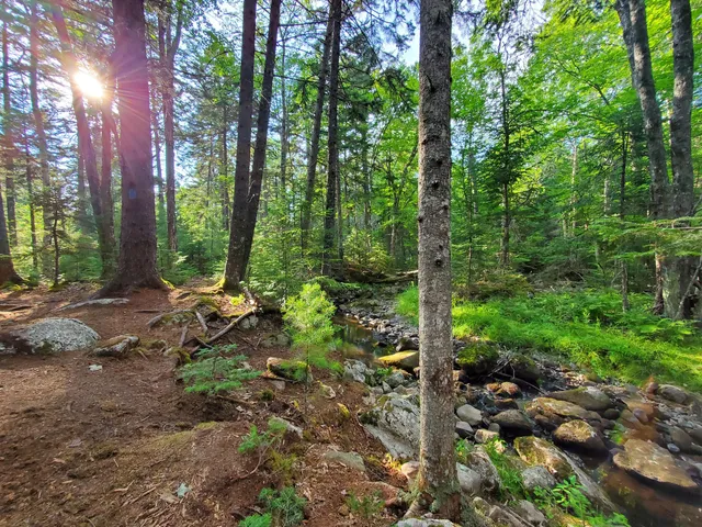 Jordan Homestead Preserve